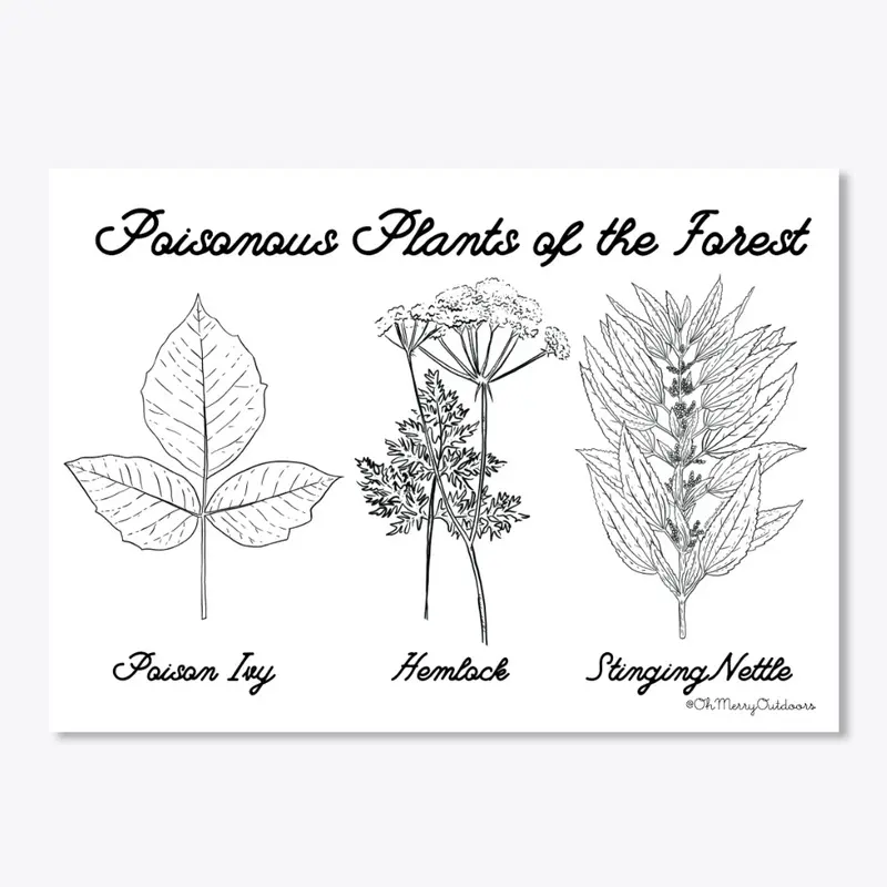 Poisonous Plants of the Forest